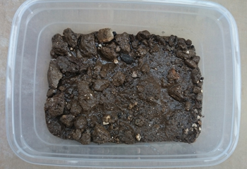 saturated soil sample